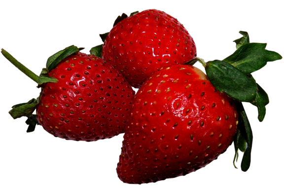 strawberries-3565102_1920.png  