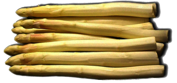 spargel.png