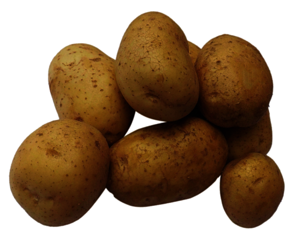 kartoffeln.png